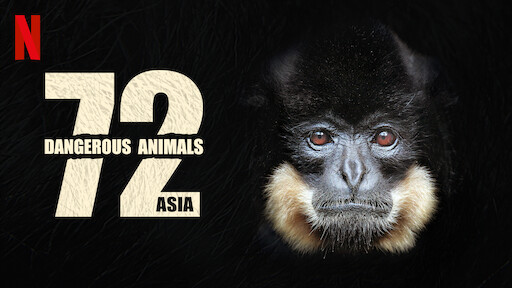 72 Dangerous Animals: Asia
